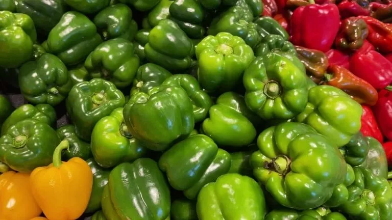 bell peppers colorful immune support