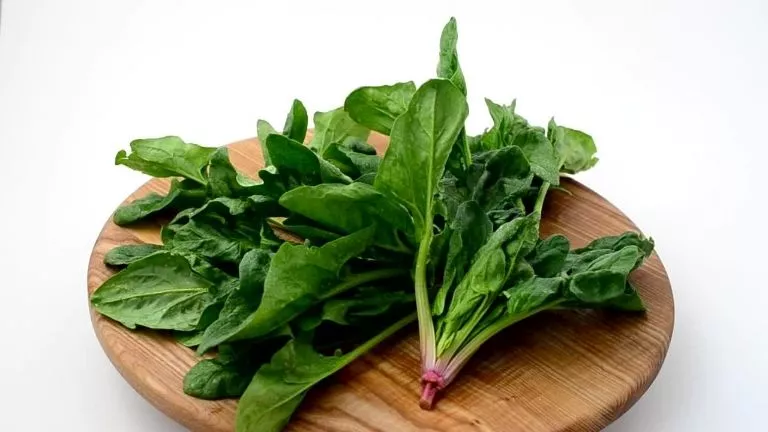 spinach a nutrient powerhouse