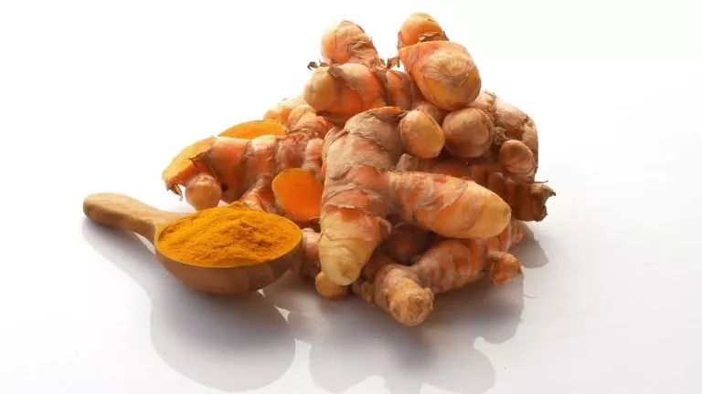 turmeric the golden spice of immunity